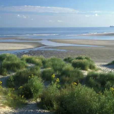 Apartment By The Bray-Dunes Centre * Bray-Dunes